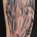 Tattoos - Realistic Black and Grey Horse Tattoo - 61635